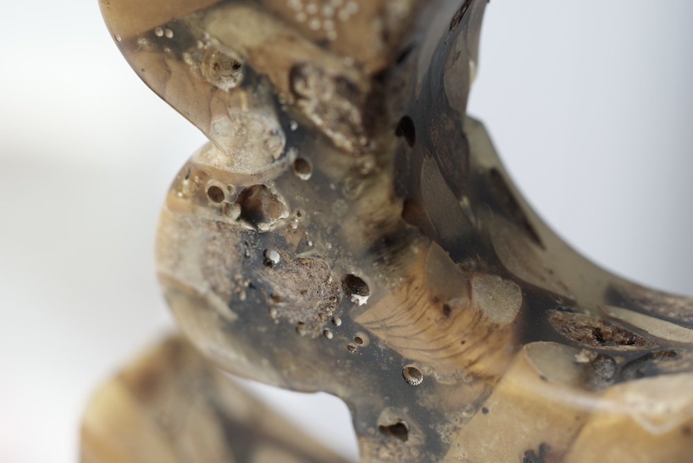 A Cigaflora pseudo-botanical sculpture made from cigarette waste, photo 10