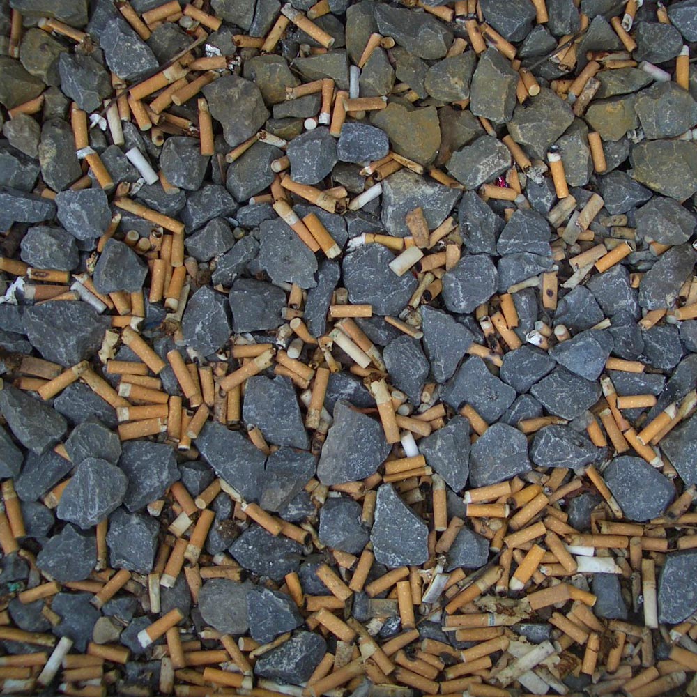 A Cigaflora pseudo-botanical sculpture made from cigarette waste, photo 1